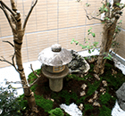 小川皮フ科医院